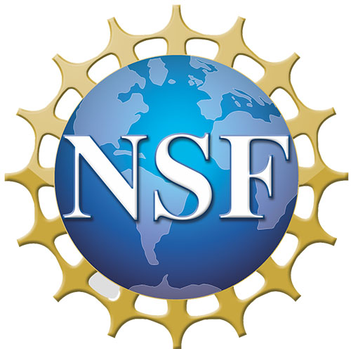 NSF logo