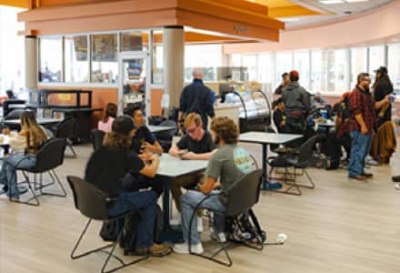 students studying at tables