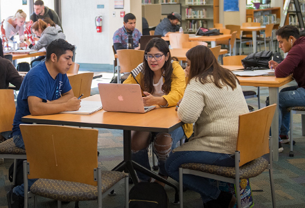 research in the library