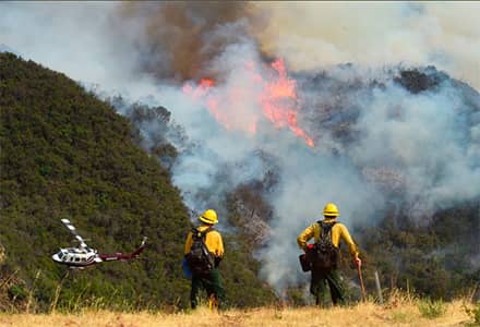 Wildland Fire Technology