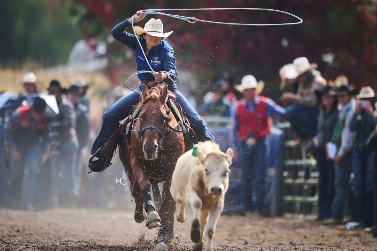 Woman roping a calf