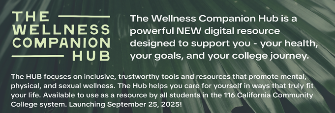 wellness hub wellness hub